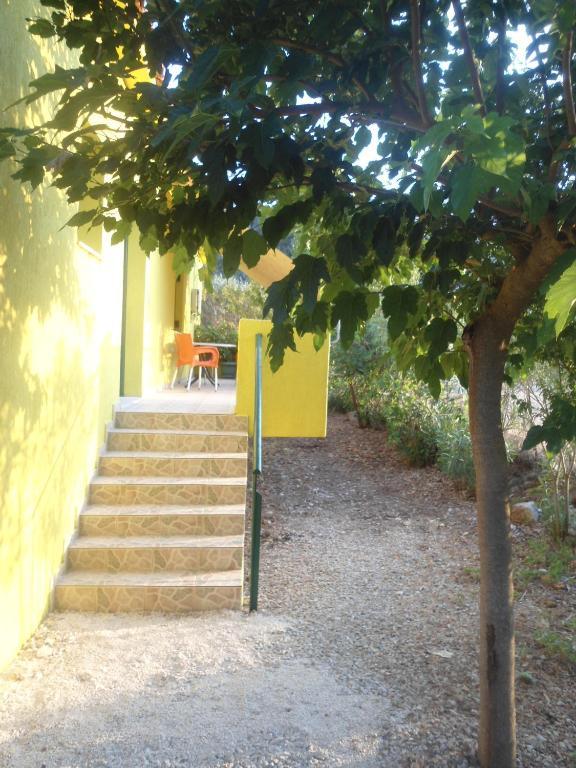 Countryside Studios Agia Efimia Esterno foto